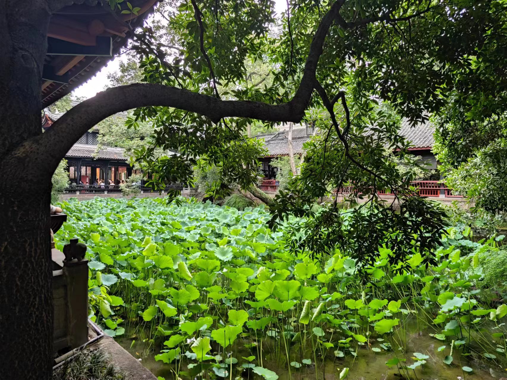 桂林？成都？或是其他？